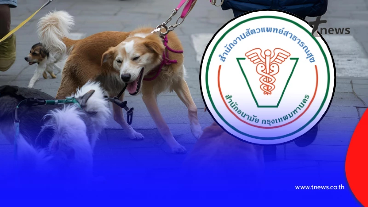 ประกาศล่าสุด "ใครเลี้ยงสัวต์เลี้ยง" ใน กทม. ต้องทำทันที