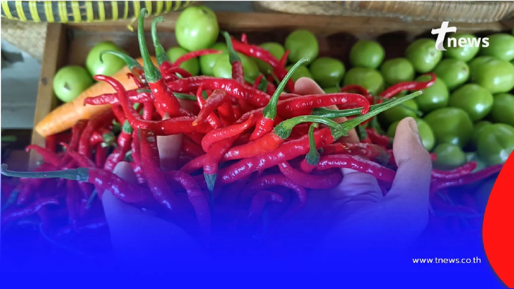 เปิดเดือน ลงทะเบียนบัตรคนจน 2569 เตรียมเอกสารรอเลย จะได้ไม่พลาดรับสิทธิ์