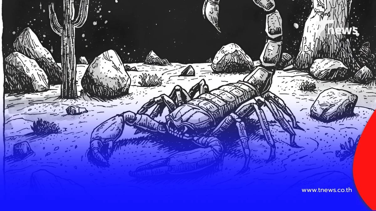 2 ราศี มีโชคกลางเดือน พ.ย. 2568 ดวงเปิดรับทรัพย์ก้อนใหญ่