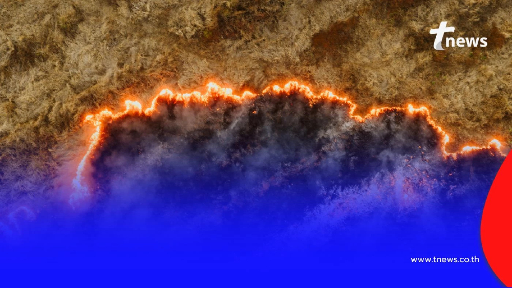 เกษตรฯ ลุยสกัด PM2.5 คลอดมาตรการ "ห้ามเผา" พื้นที่การเกษตรทั่วประเทศ