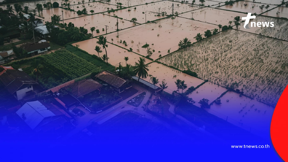 สทนช. เตือน 11 จังหวัด ระวังน้ำท่วมฉับพลัน น้ำป่า 17 - 22 พ.ย. 2568