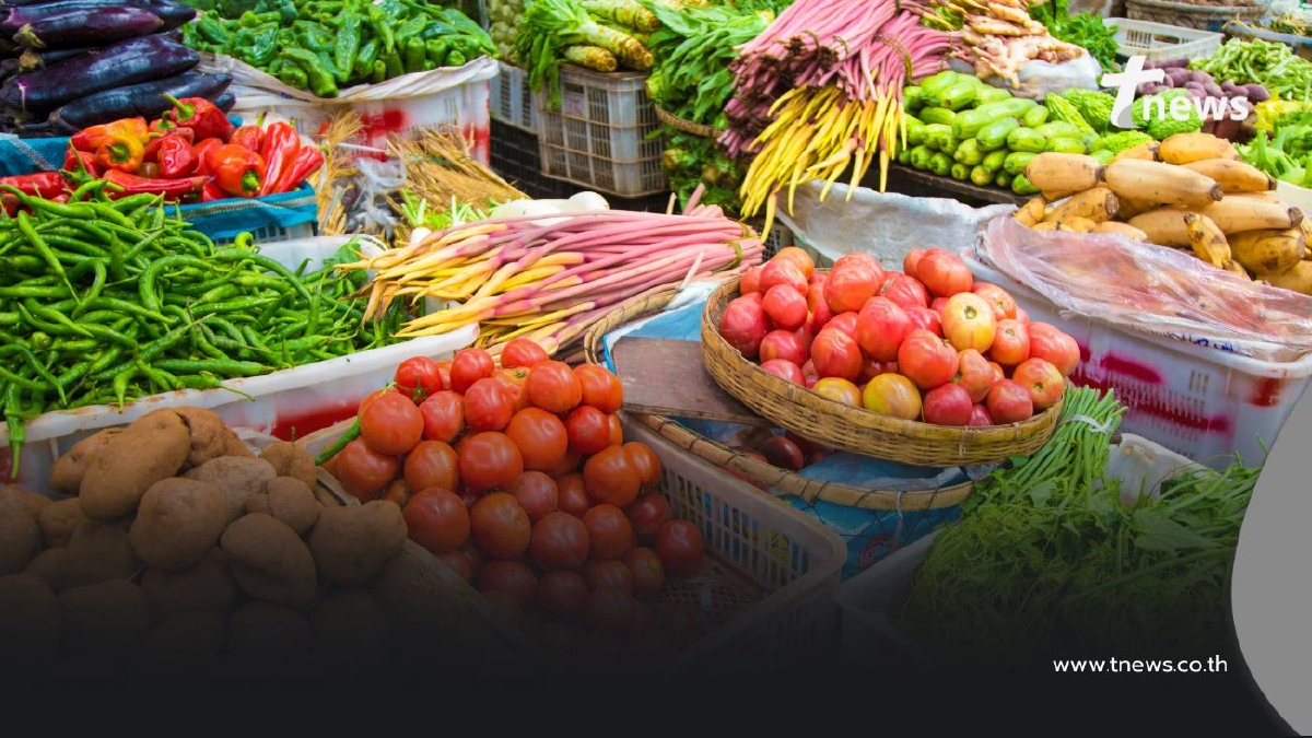 สรุปให้ครบ บัตรคนจน เดือนพฤศจิกายน 2568 เงินเข้าวันไหน จ่ายอะไรบ้าง