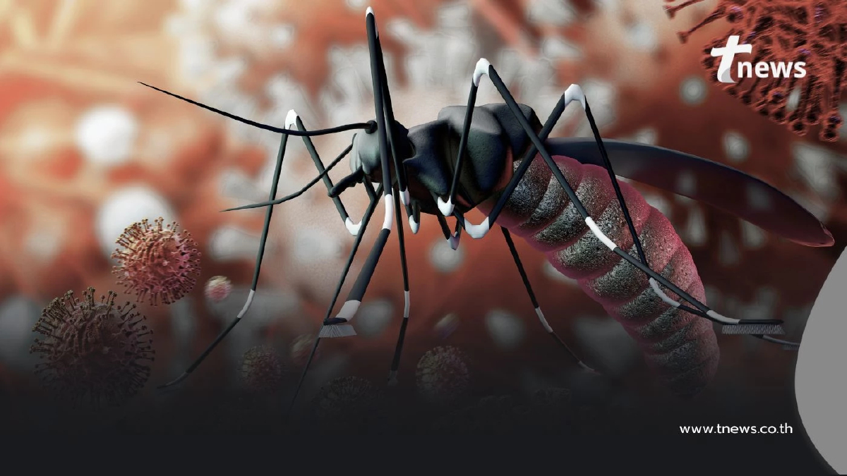 ไวรัสซิกา ภัยเงียบอันตรายที่ควรระวัง โดยเฉพาะคนกลุ่มนี้