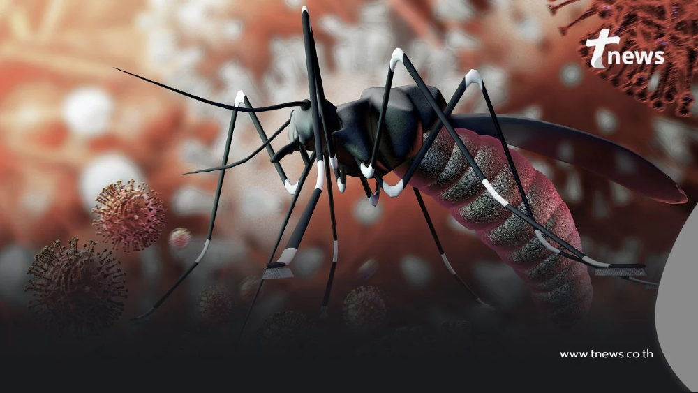 ไวรัสซิกา ภัยเงียบอันตรายที่ควรระวัง โดยเฉพาะคนกลุ่มนี้