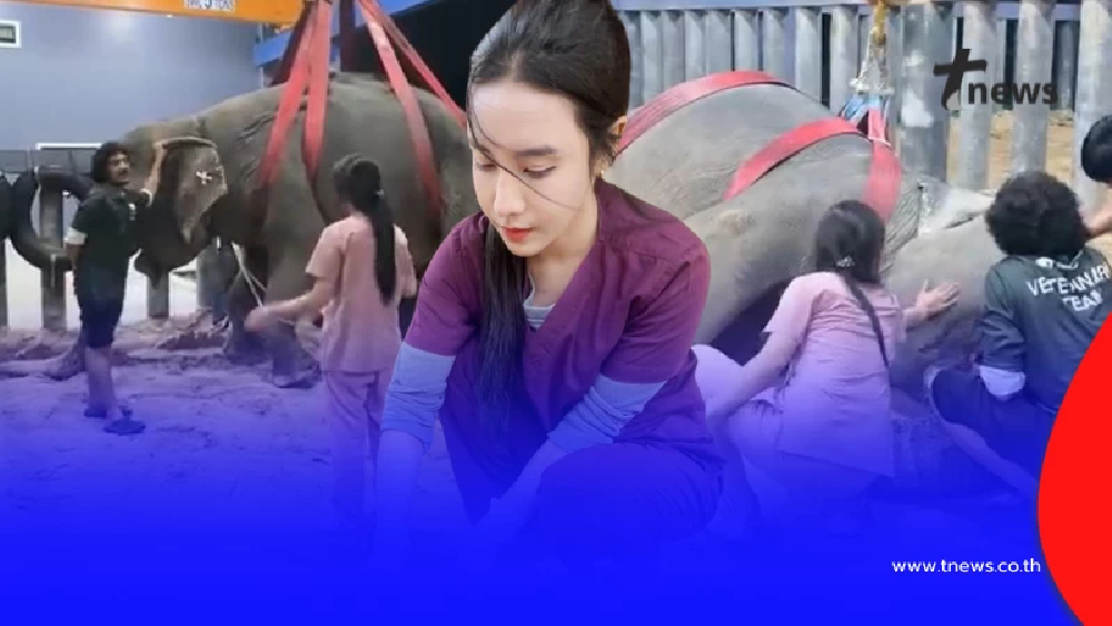 "หมอโบว์" จุกอก เล่าอาการสุดท้าย "พังสร้อยฟ้า" ก่อนสิ้นใจ