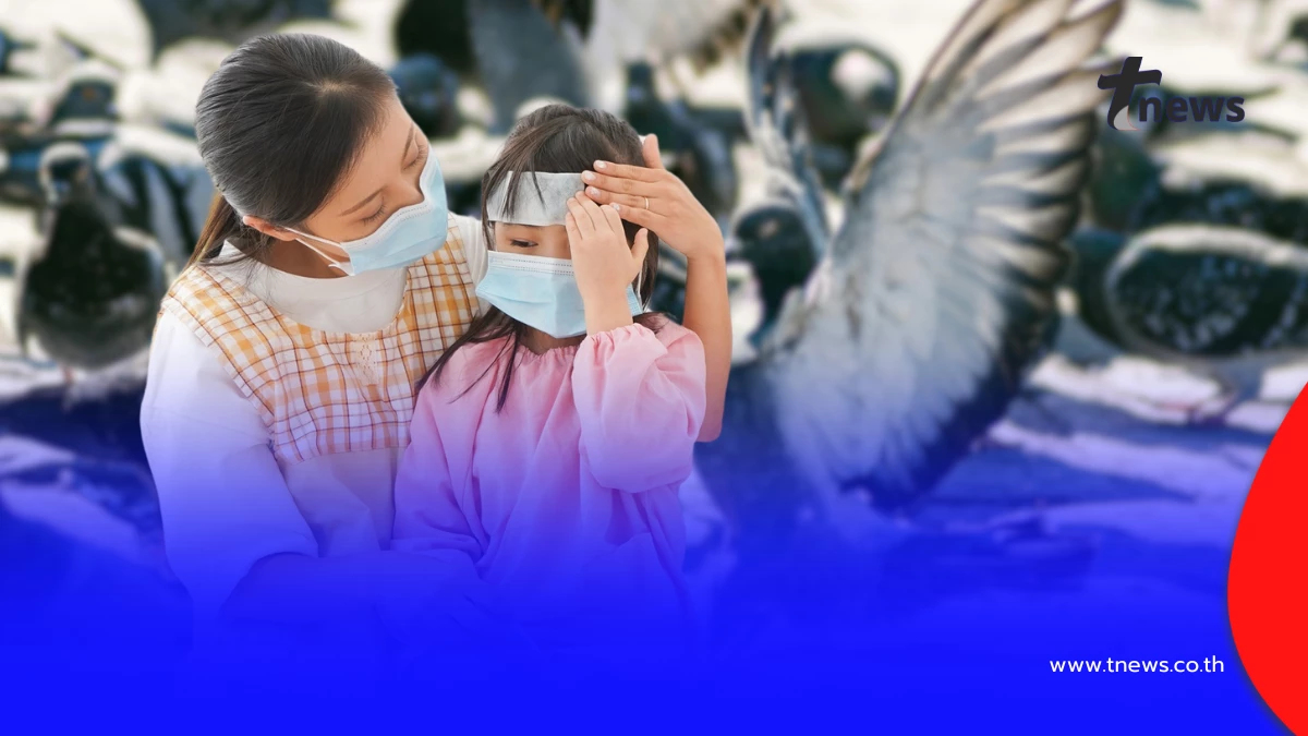 อย่าคิดว่าแค่เล่นกับนก! เด็กป่วยซ้ำติดเชื้อร้ายจากมูลนกพิราบ