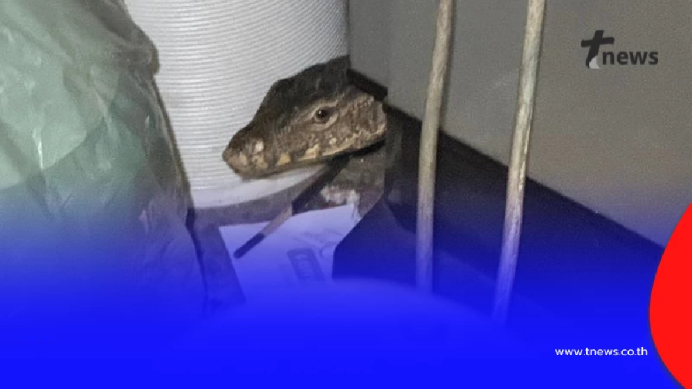 หนุ่มสงสัย งูอะไรเข้าบ้าน มีพิษไหม ชาวเน็ตแห่ขอบ้านเลขที่