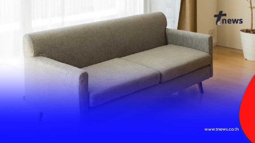 บ้านหอมโดยไม่ต้องเปียกน้ำ! วิธีขจัดกลิ่นโซฟาผ้าด้วยของใกล้ตัว