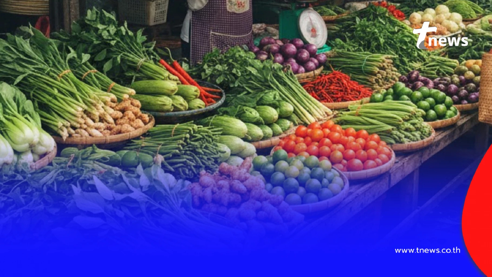 หมอเตือน 6 ผักไทย กินสดบ่อย ๆ ต้องระวัง เสี่ยงเวียนหัว ลำไส้พัง