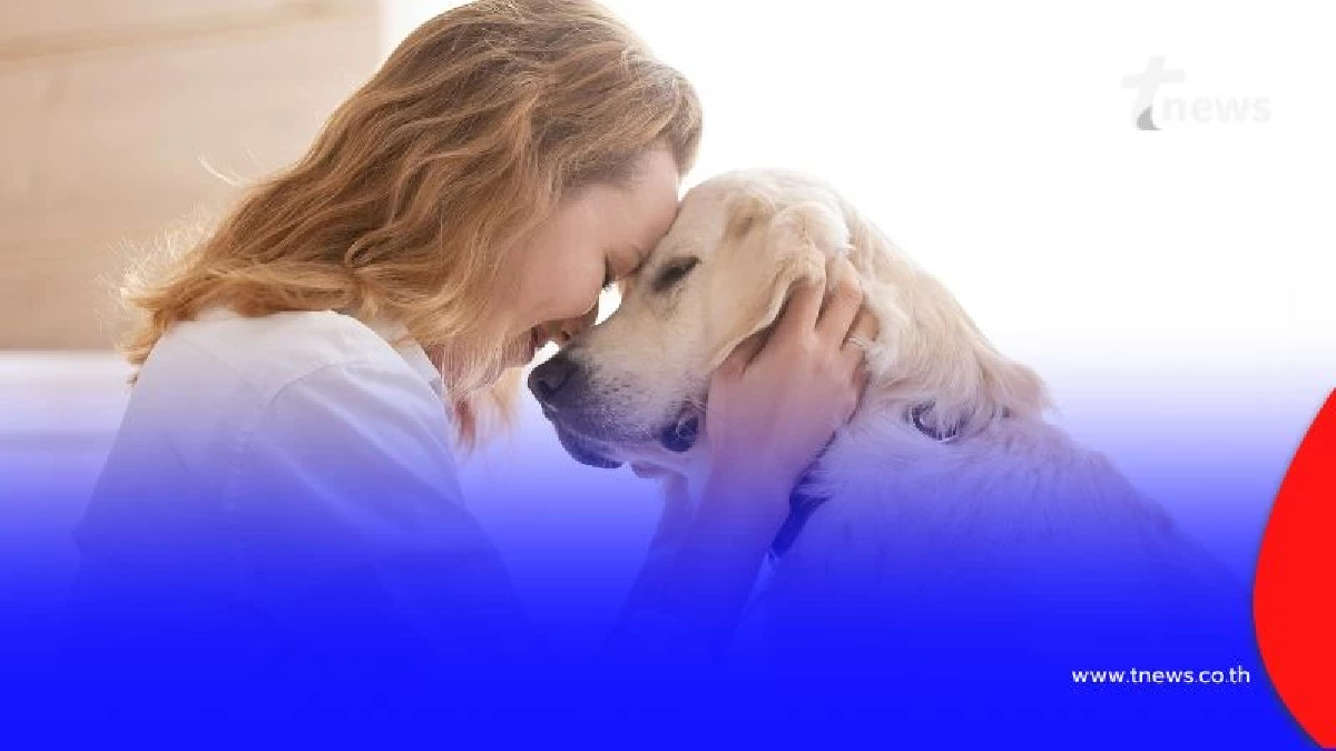 กทม. ตอบแล้วเลี้ยงสัตว์เกินโควตา มีโทษหรือไม่หากไม่จดทะเบียน