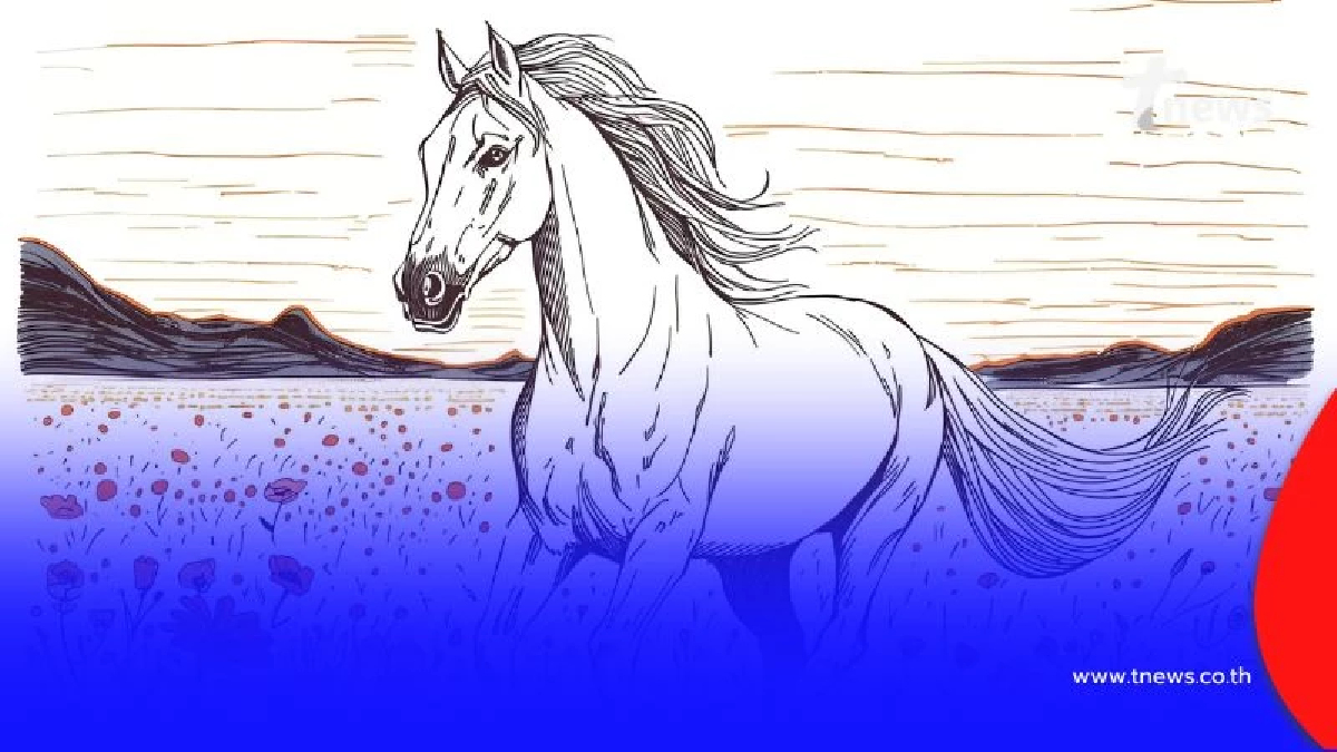 ปีชง 2569 ไม่ต้องกลัว วิธีแก้ชงง่าย ๆ ที่บ้าน ไม่ต้องไปวัด