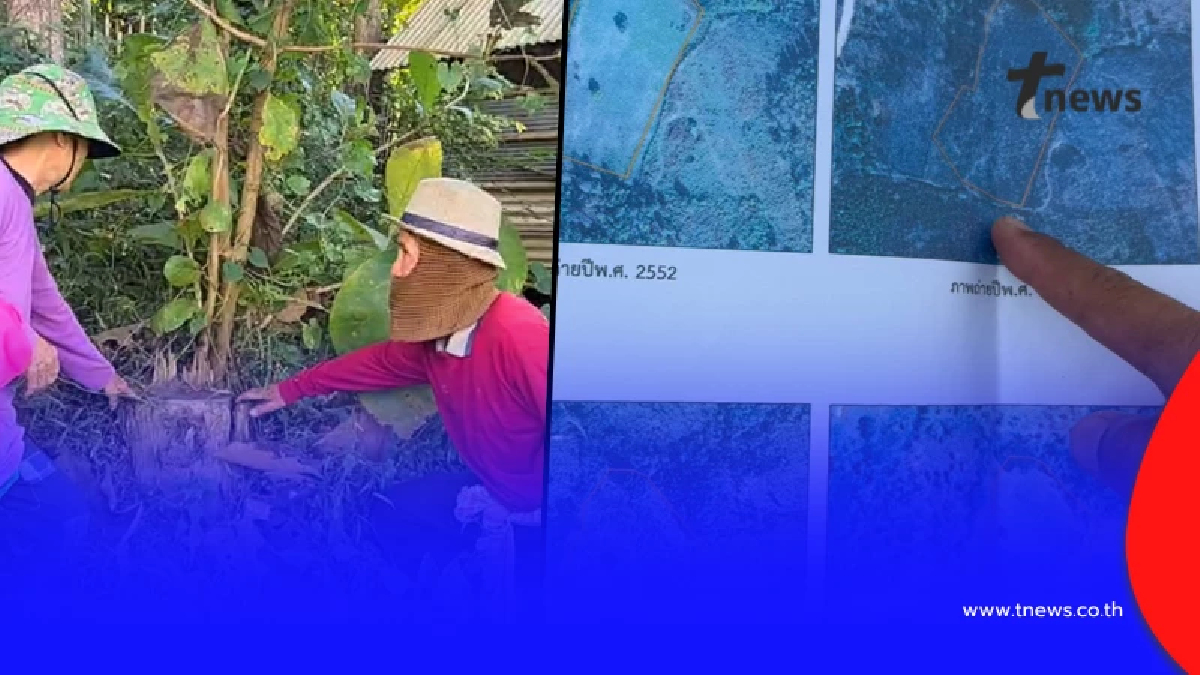 รู้แล้ว ตายายลำปาง ตัดต้นไม้อะไร ถึงถูกผู้นำหมู่บ้านแจ้งจับ ปรับหลักแสน