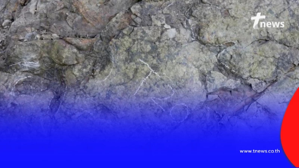 ฮือฮา จีนพบ รอยเท้าไดโนเสาร์ อายุเก่าแก่กว่า 200 ล้านปี