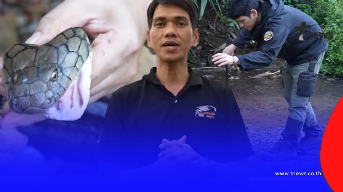 "นิค อสรพิษวิทยา" โดน"งูจงอาง"กัด หามส่งโรงพยาบาลด่วน