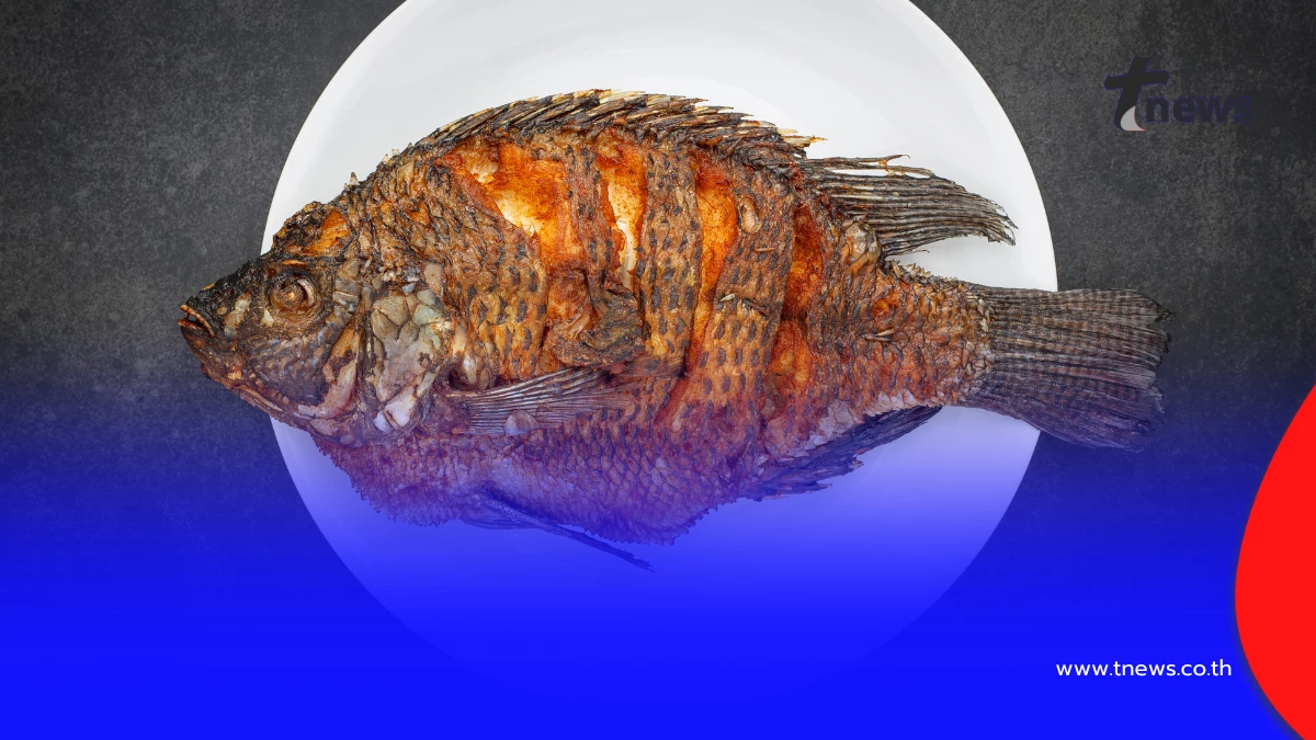 วิธีทอดปลาไม่ติดกระทะ แค่ใช้สิ่งนี้ หนังเหลืองกรอบน่ากิน