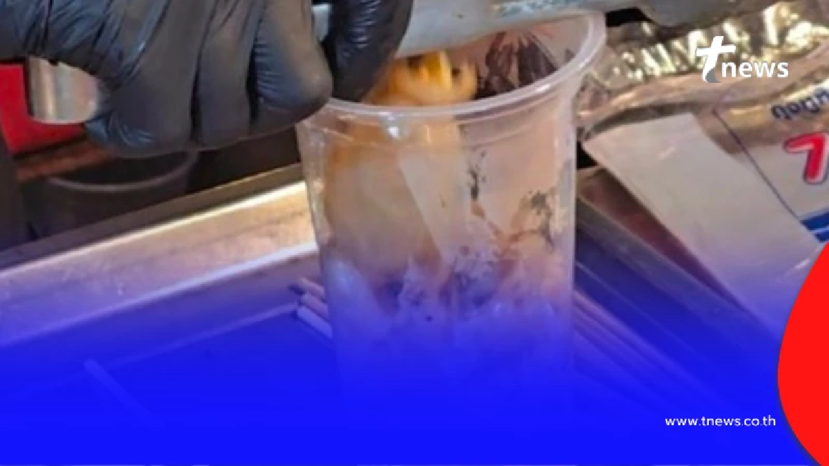 ชัดเจน รู้แล้วแก้วพลาสติก นำมาใส่อาหารร้อนๆ เสี่ยงมะเร็งมั้ย