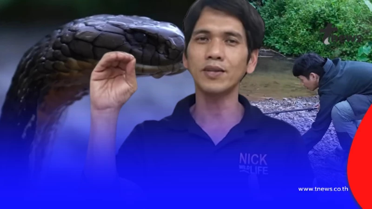 เปิดนาทีชีวิต"นิค อสรพิษวิทยา"เจอพิษจงอาง ไม่คิดว่ามันจะกัดได้