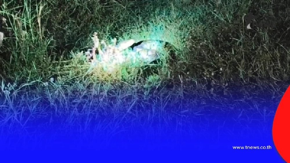 ฮือฮา งูเหลือมโผล่หน้าบ้าน บังเอิญเลขตรงกันอีก เชื่อมาให้โชค