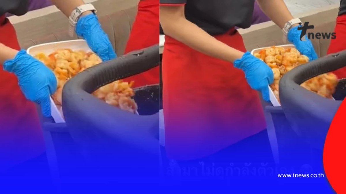 ดราม่าร้อน กินกุ้งบุฟเฟต์ร้านดัง เหลือทิ้งล้นถาด งานนี้ถกสนั่น