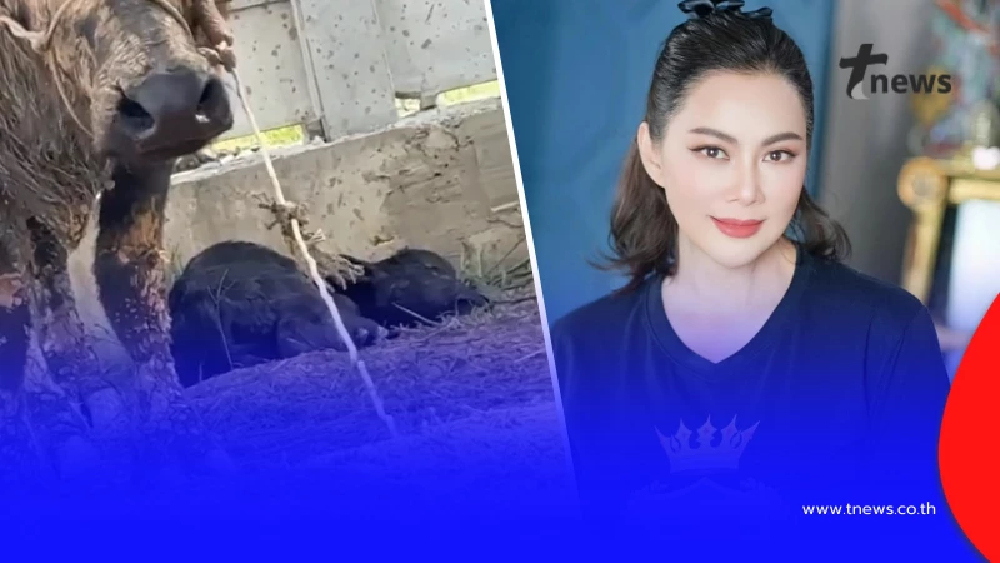 "บุ๋ม ปนัดดา" เผยข่าวดี "ควายร่ำรวย" คลอดลูก เปิดบ้านเลขที่สวย