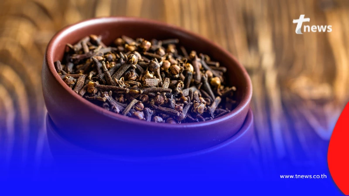 5 สิ่งที่พ่อแม่ต้องรู้ ก่อนตัดสินใจใช้ก้านพลูเขียนคิ้วให้ลูกน้อย