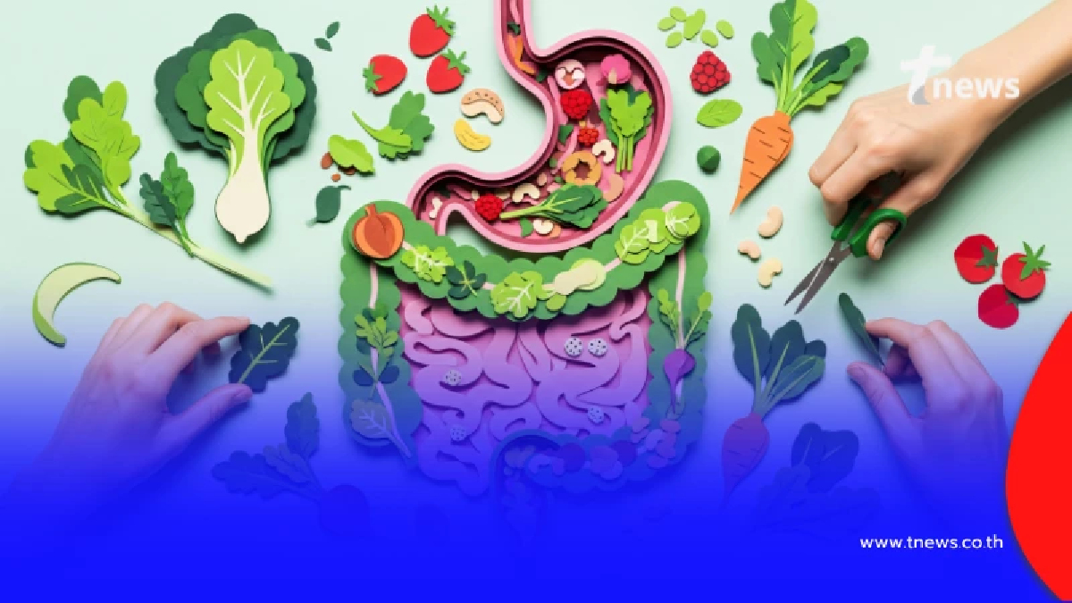 ลำไส้ขี้เกียจแก้ไขได้ด้วยวิธีธรรมชาติ ช่วยกระตุ้นการทำงานของระบบลำไส้ได้