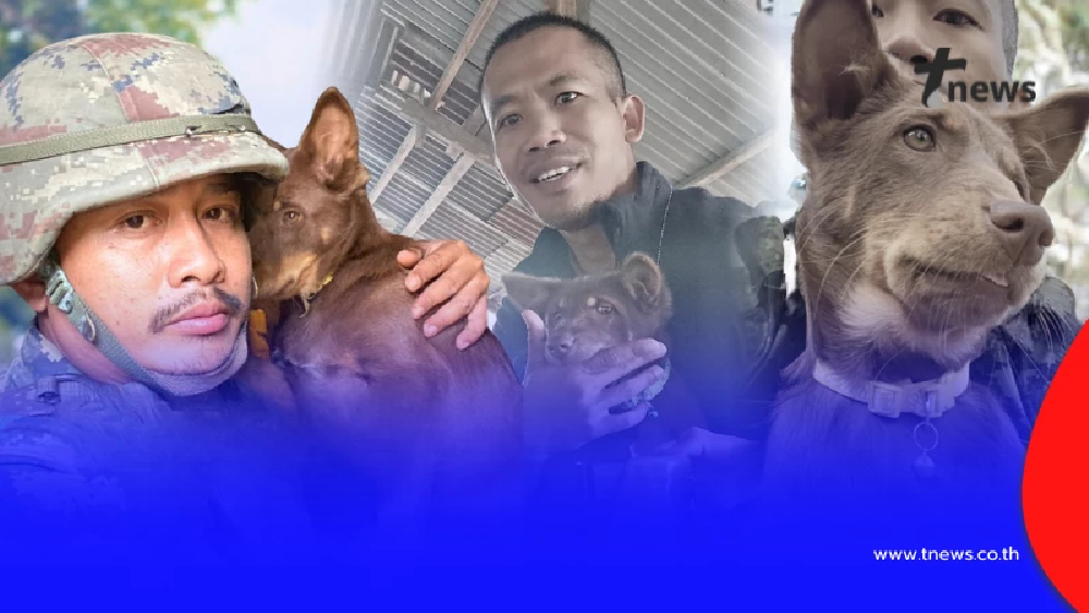 รู้แล้ว ชีวิต "น้องมะลิ" ต่อจากนี้ หลังสูญเสีย "จ.ส.อ. อนันดา"