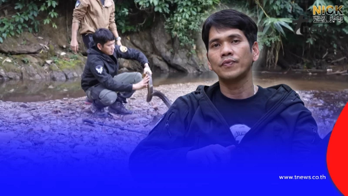 นิค อสรพิษวิทยา เล่านาทีถูกงูจงอางกัด เหมือนเข็มนับ 10 เล่ม แทงนิ้ว