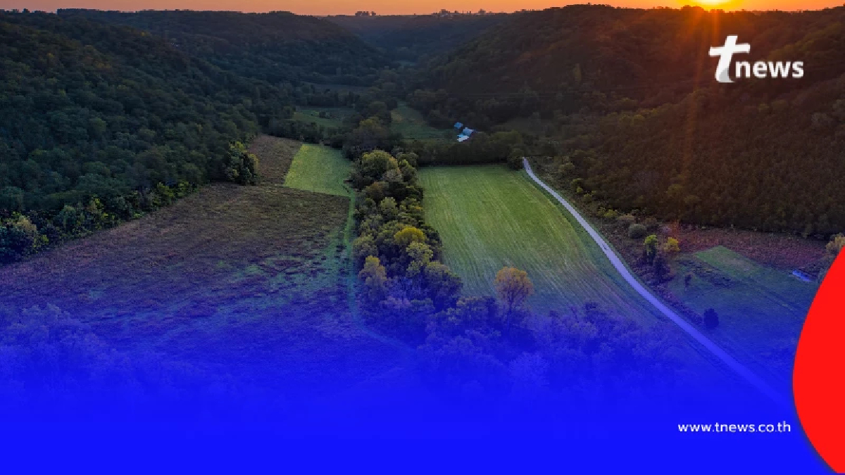 แนะวิธีเช็ก โฉนดแท้ ให้ชัวร์ ก่อนโอนเงินซื้อที่ดิน ป้องกันถูกหลอก