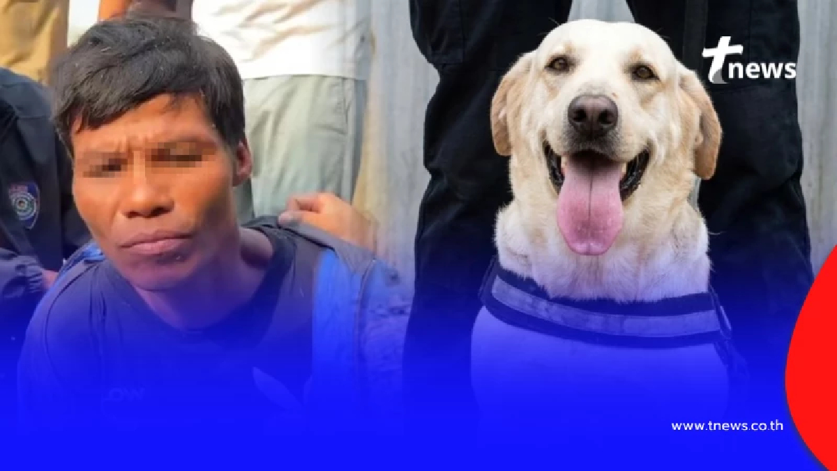 เปิดตัว "ฮีโร่ 4 ขา" พานำจับมือชิงทรัพย์พนักงานโรงแรมหัวหิน