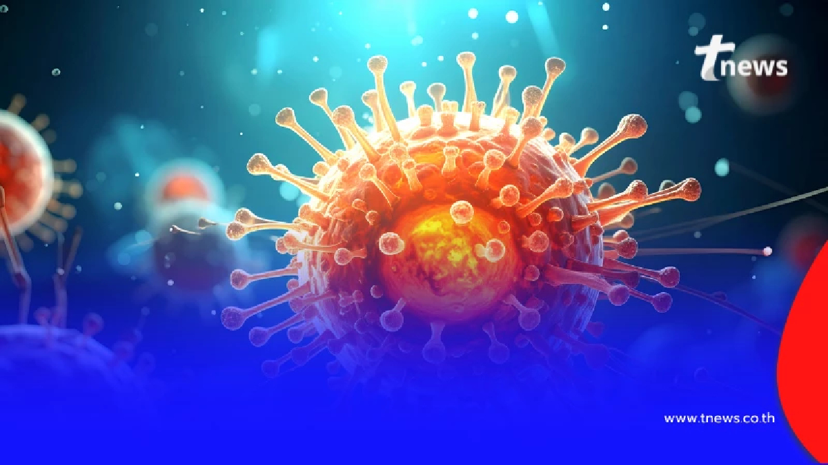 อินเดียคุมเข้ม พบติดเชื้อไวรัสนิปาห์ 5 ราย สั่งกักตัวกลุ่มเสี่ยงนับร้อย