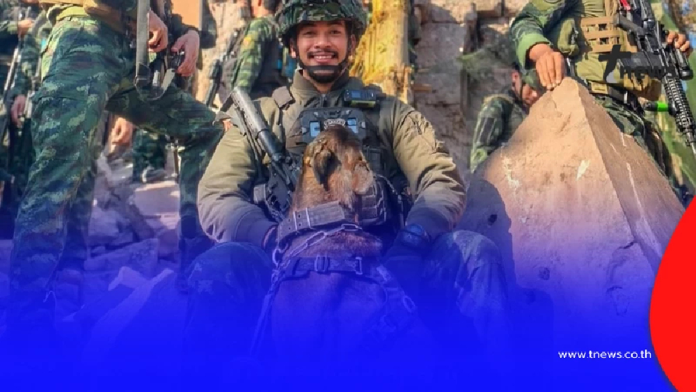 เปิดภารกิจ "เจมี่" K9 ฮีโร่สี่เท้า ผู้กุมชีวิตทหารทั้งกองร้อย