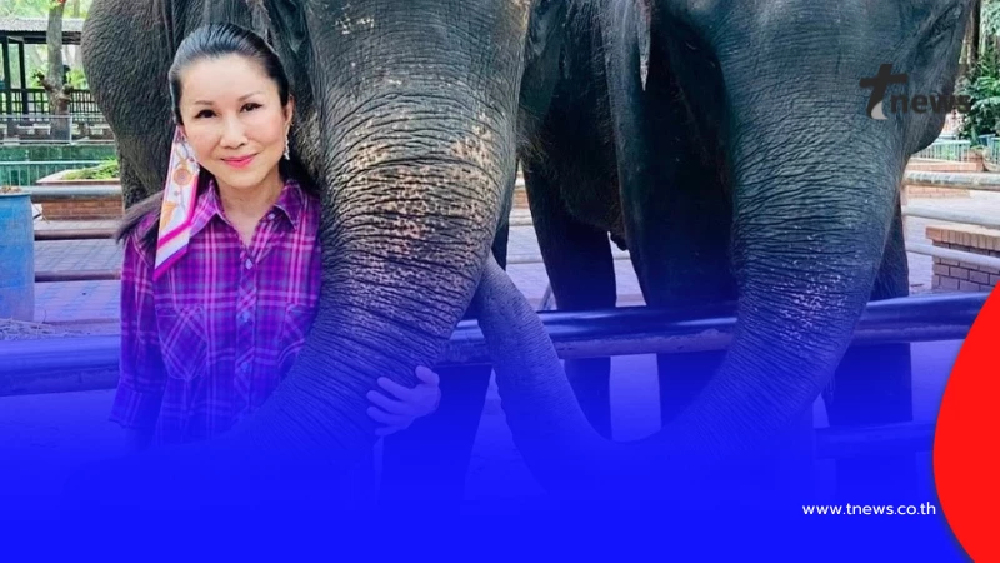 เดือด "หนูนา" โต้ข่าวช้างไทย 2 เชือก ใครป้ายสีเตรียมเจอของจริง