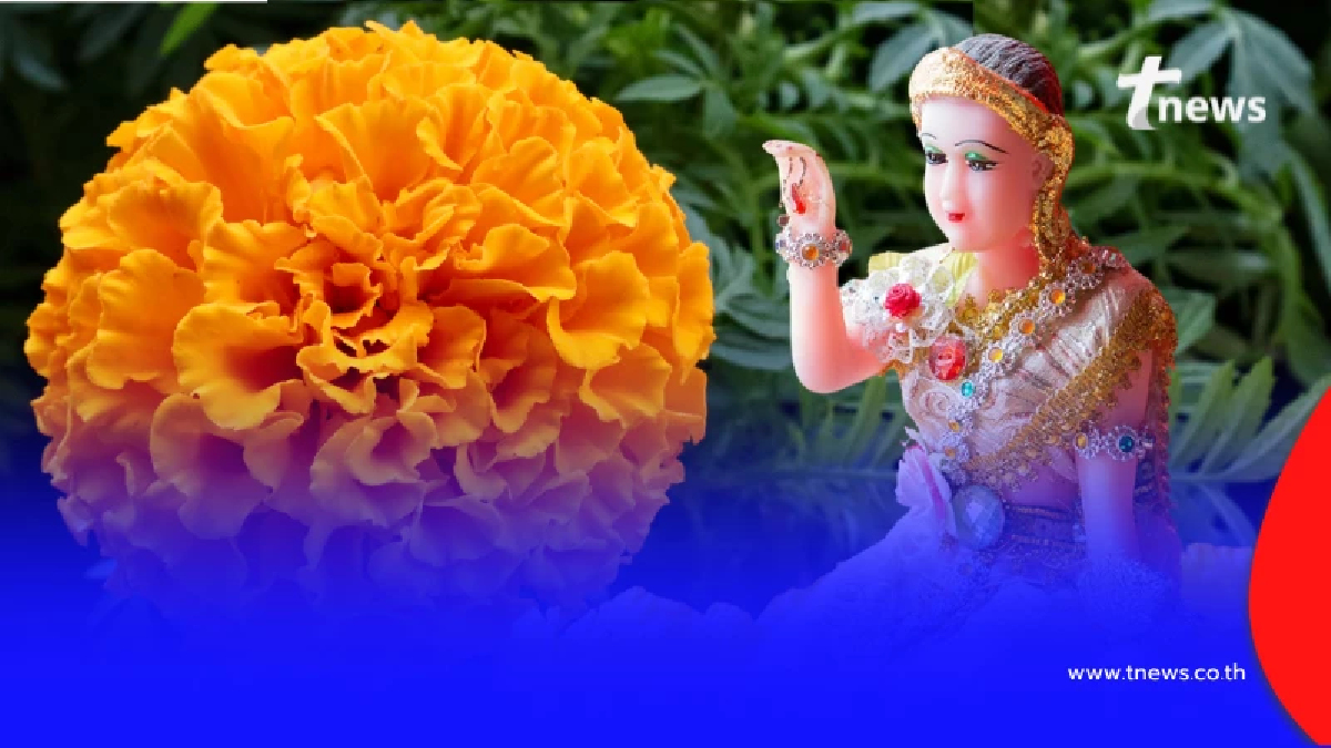 บทสวดหัวใจนางกวัก เรียกทรัพย์เข้าหาตัว เหมาะกับคนทำการค้าขาย