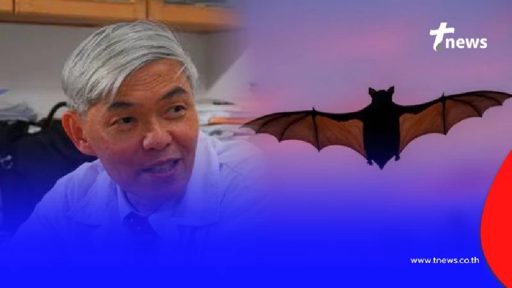 หมอยง ตีแผ่ความจริง "ไวรัสนิปาห์" ไม่ใช่โรคใหม่ มันอยู่มานานแล้ว