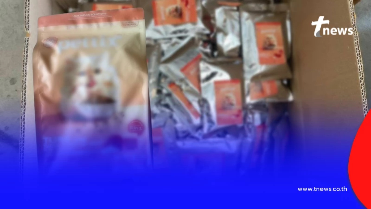 ทาสแมวระวัง บุกโกดังอาหารแมวเถื่อน แอบอ้าง-ใช้เลขทะเบียนปลอม