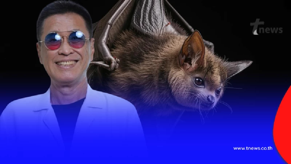 "หมอธีระวัฒน์" โพสต์เรื่อง "ค้างคาว" แบบตรง ๆ อ่านจบ ชัดเจนมาก