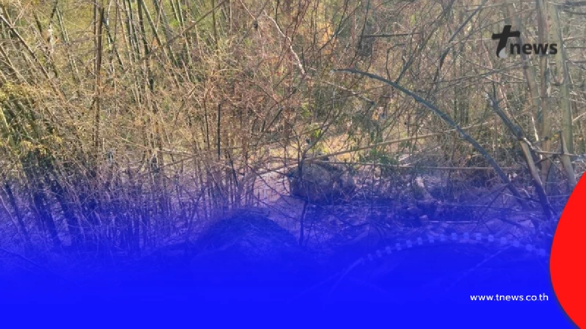 เปิดชื่อ 2 ทหารบาดเจ็บเหตุไฟไหม้ป่าโดนระเบิดตกค้าง ช่องอานม้า