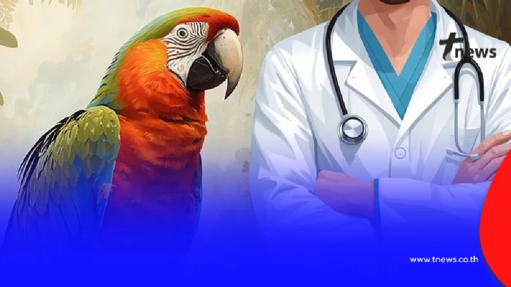 รู้แล้ว "โรคไข้นกแก้ว" ที่หลายคน สะพรึง แท้จริง ติดต่อทางไหนบ้าง