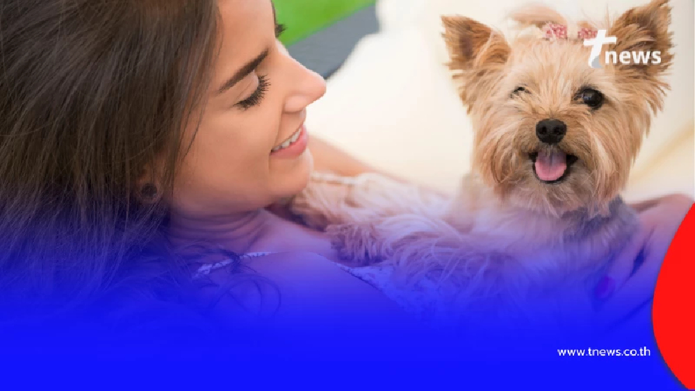 เช็กพิกัด สัตวแพทย์เคลื่อนที่บุกเซ็นทรัลพระราม 2 และอีกหลายจุด