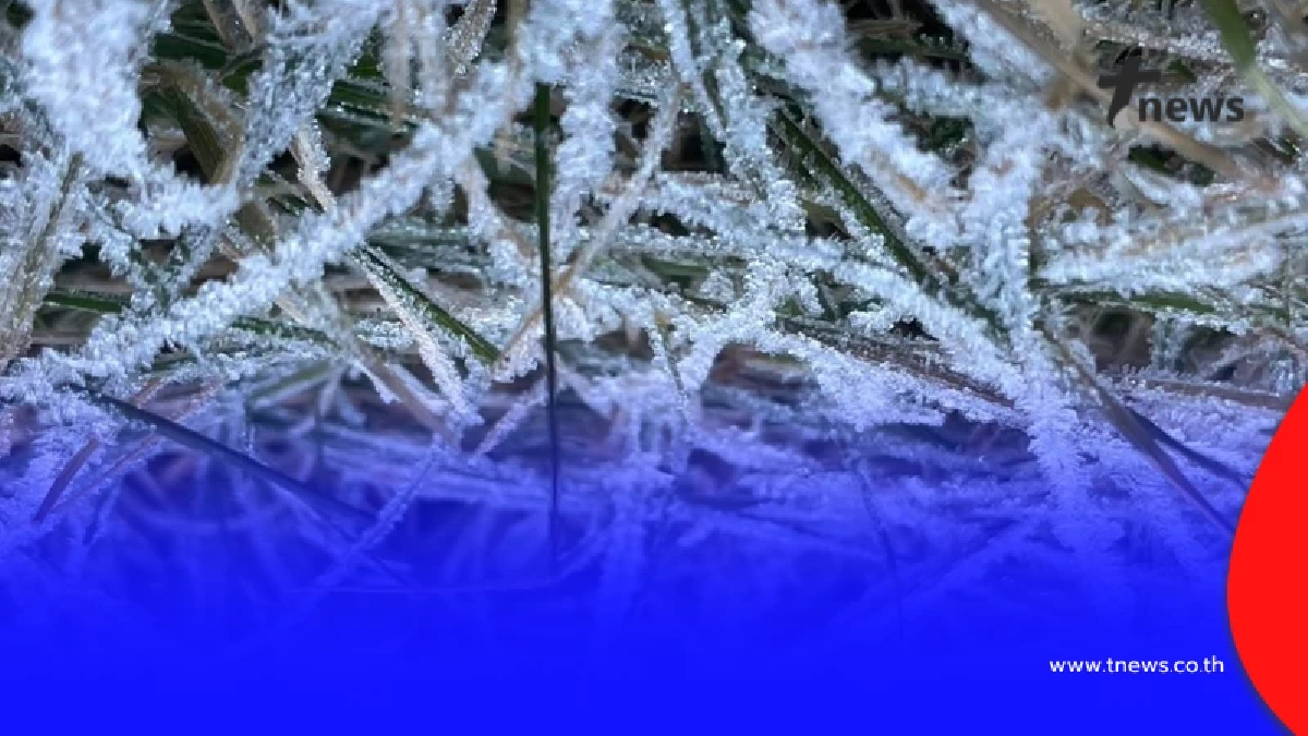 รู้แล้วสาเหตุ ไทยหนาวช้า คาดเย็นนานถึง ก.พ.69 ห่วงเกิดภาวะแล้ง