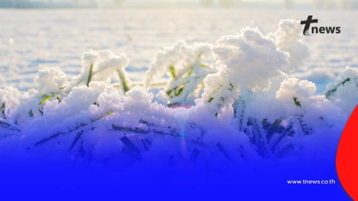 เปิดสาเหตุ ทำไมปีนี้หนาวช้าแต่หนาวนาน “ลานีญา” ตัวแปรสำคัญทำอากาศแปรปรวน