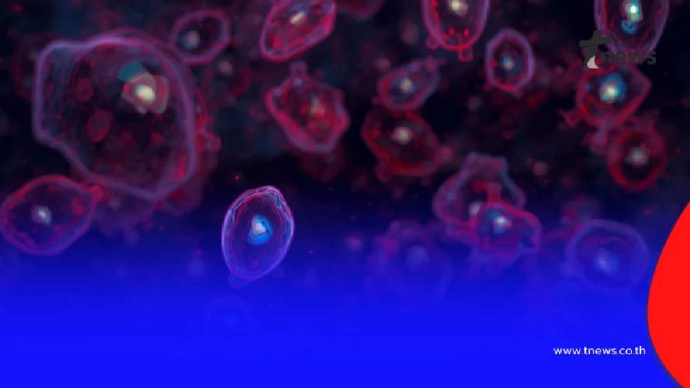 เปิดอาการ "ไวรัสนิปาห์" น่ากลัวมาก คล้ายไข้หวัด รักษาไม่ทันถึงดับ