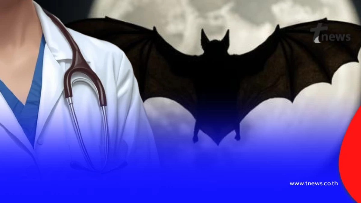 ถึงว่า ทำไม "ค้างคาว" ถึงเป็นพาหะเชื้อโรคแปลก ๆ เยอะเหลือเกิน
