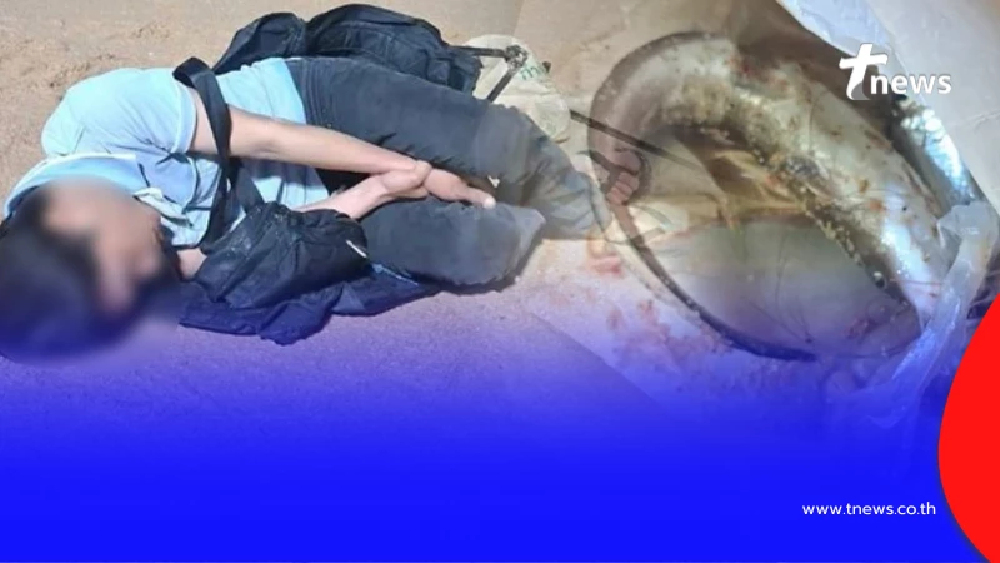 รู้แล้ว ปลาอะไร ทำชายหนุ่มถึงขั้นนอนหมดสติบน หาดจอมเทียน พัทยา