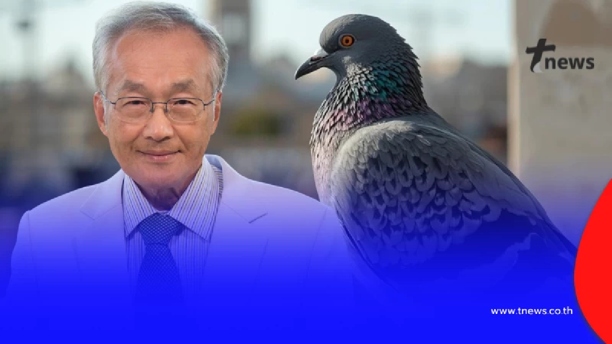 สะพรึง หญิงตรวจพบ "ก้อนในปอด" สุดท้ายเจอต้นตอ มันมาจากนกพิราบ