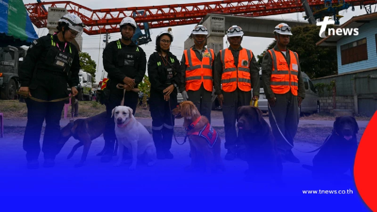 สรุปภารกิจ K9 USAR เหตุเครนถล่มทับรถไฟ สุนัขทรงเลี้ยง ร่วมด้วย