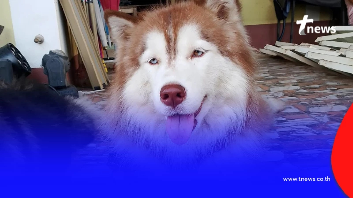 รวบตัวผู้ต้องสงสัยคดี "น้องมอลลี่" ตำรวจคุมตัวเค้นสอบเข้ม