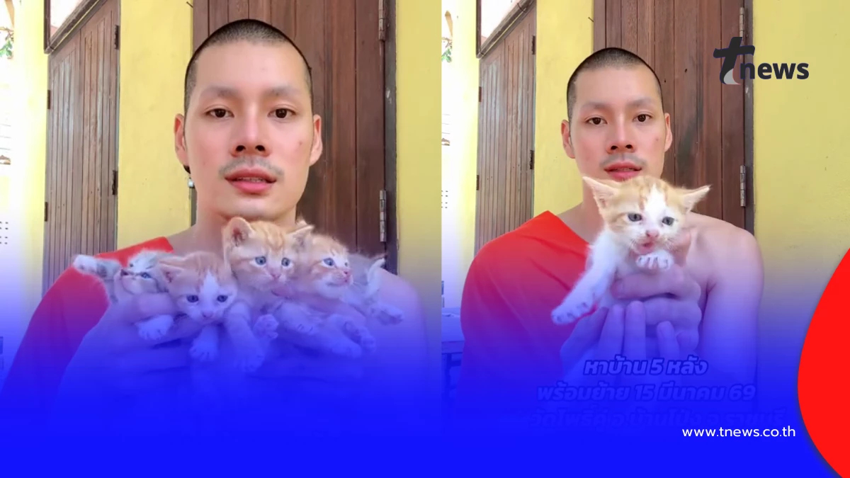 หลวงพี่สุดละมุน ลงคลิปหาบ้านให้แมว แต่ละคอมเมนต์พร้อมลงอเวจี
