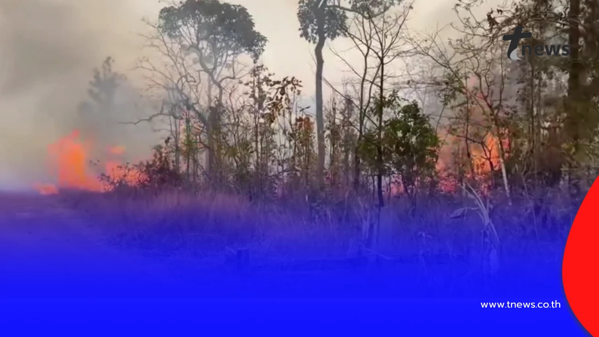 กัมพูชาเผาป่าชายแดน ควันลามกระทบไทย เตรียมรถดับเพลิงเฝ้าระวัง